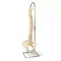 BONElike Spine A794